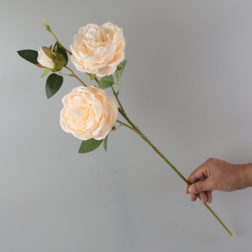 Three single peonies Application Scenario