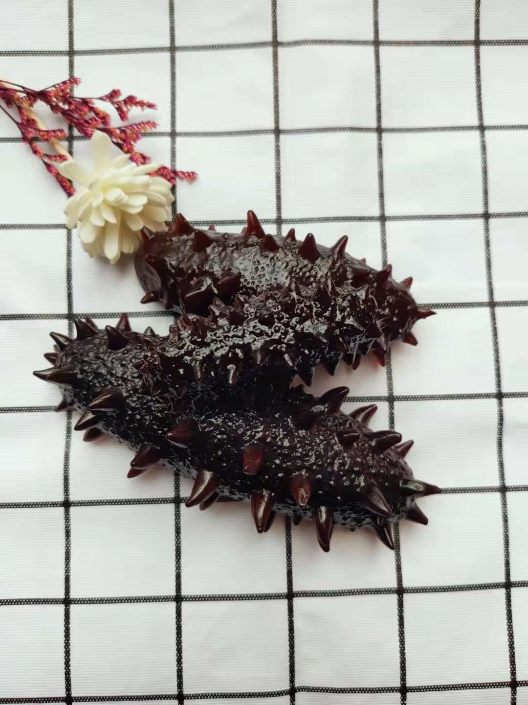 仿真海参详情图6