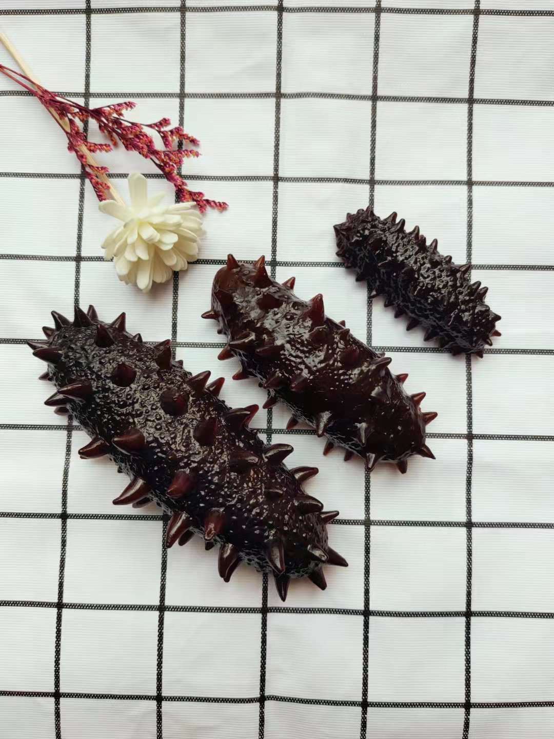 仿真海参详情图7