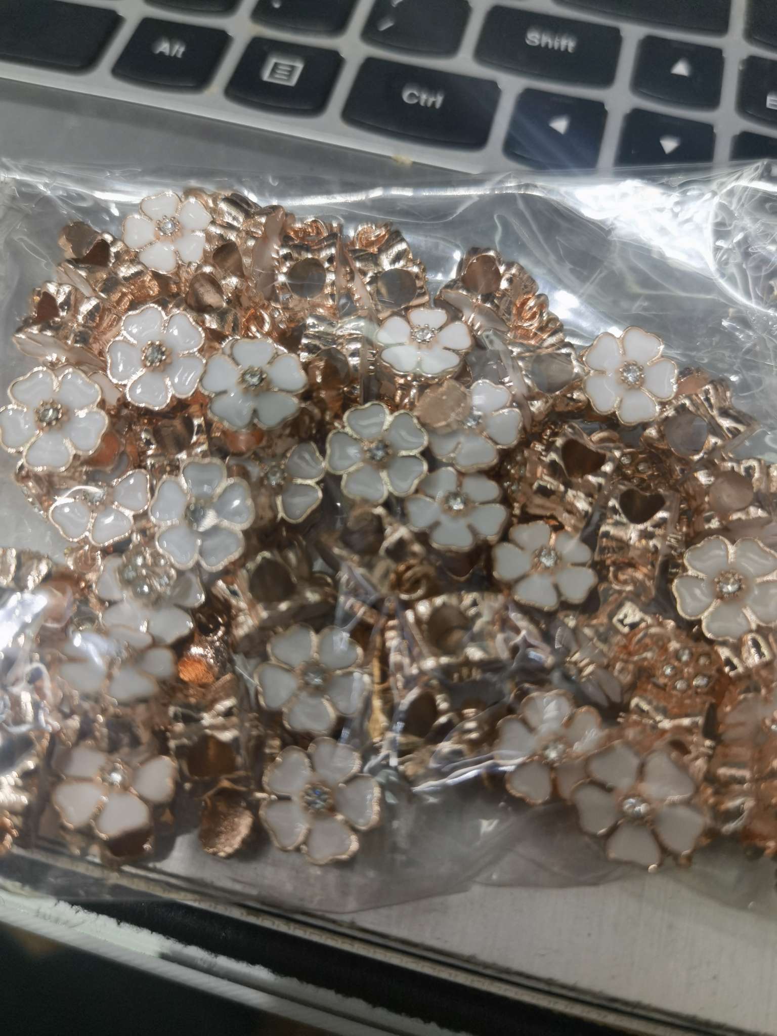 路路通，大孔珠，花瓣，益聪