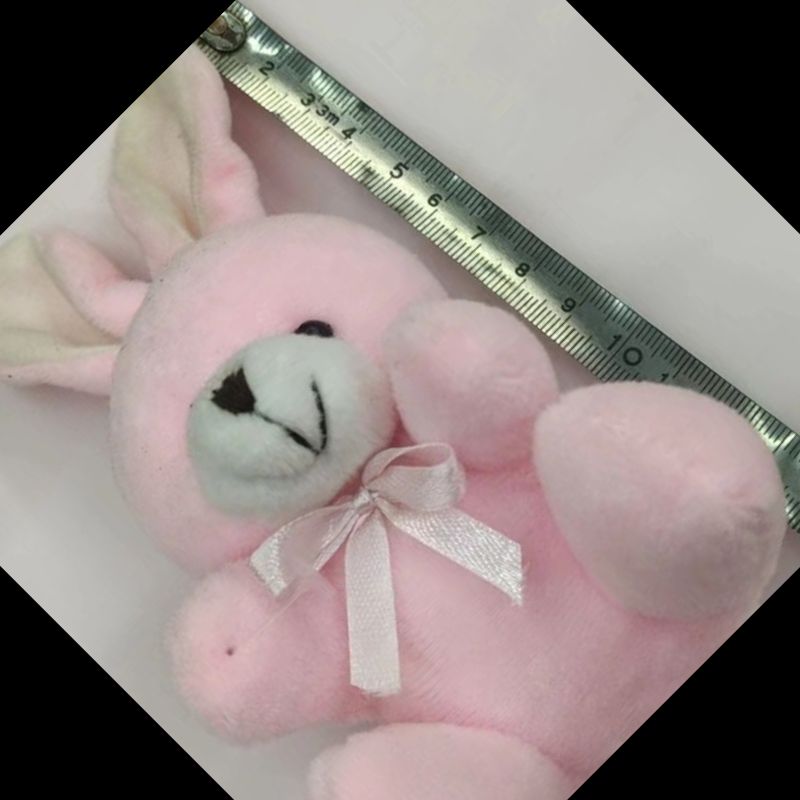 毛绒玩具/小挂件/毛绒挂件白底实物图