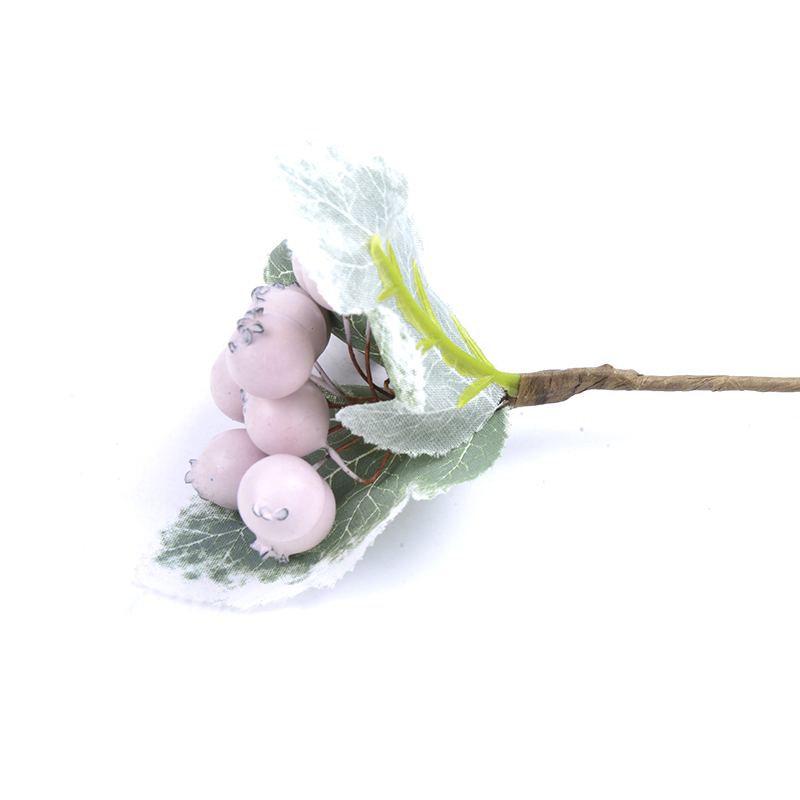 Nueva simulación fotografía de frutas frutas prop decoración de frutas 3 Application Scenario