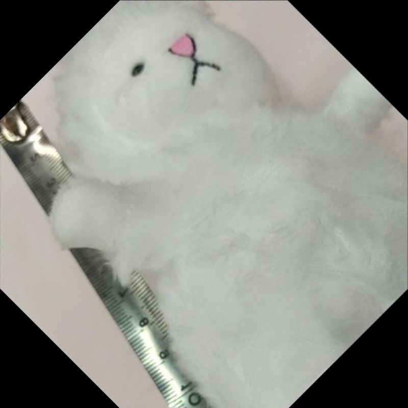 毛绒玩具/小挂件/毛绒挂件白底实物图