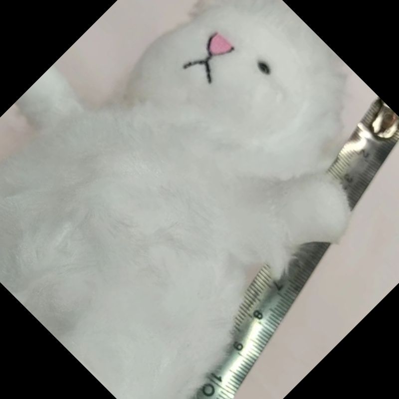 毛绒玩具/小挂件/毛绒挂件细节图