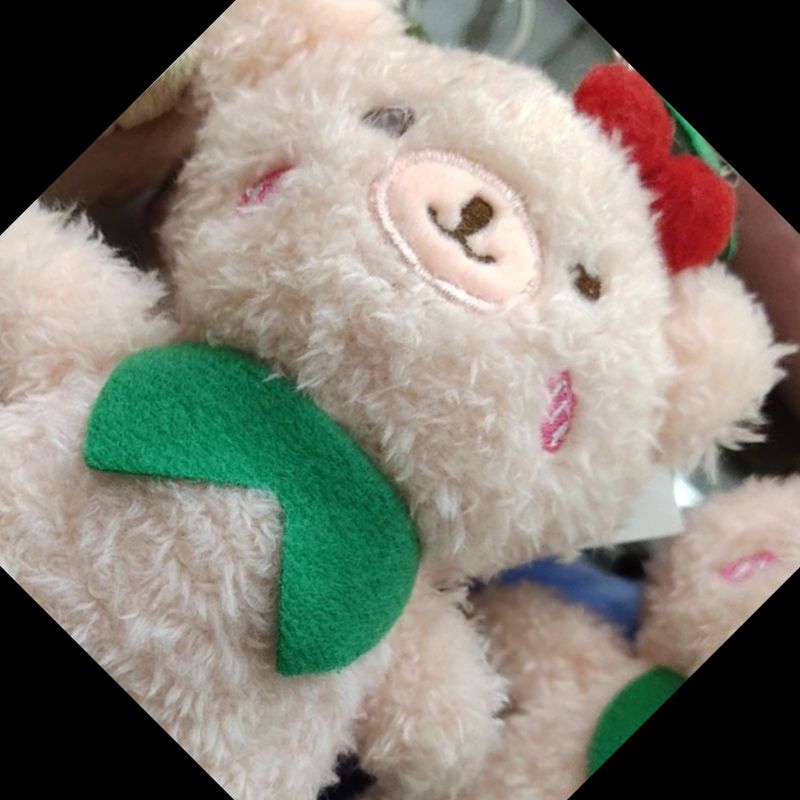毛绒挂件/毛绒玩具/小挂件细节图