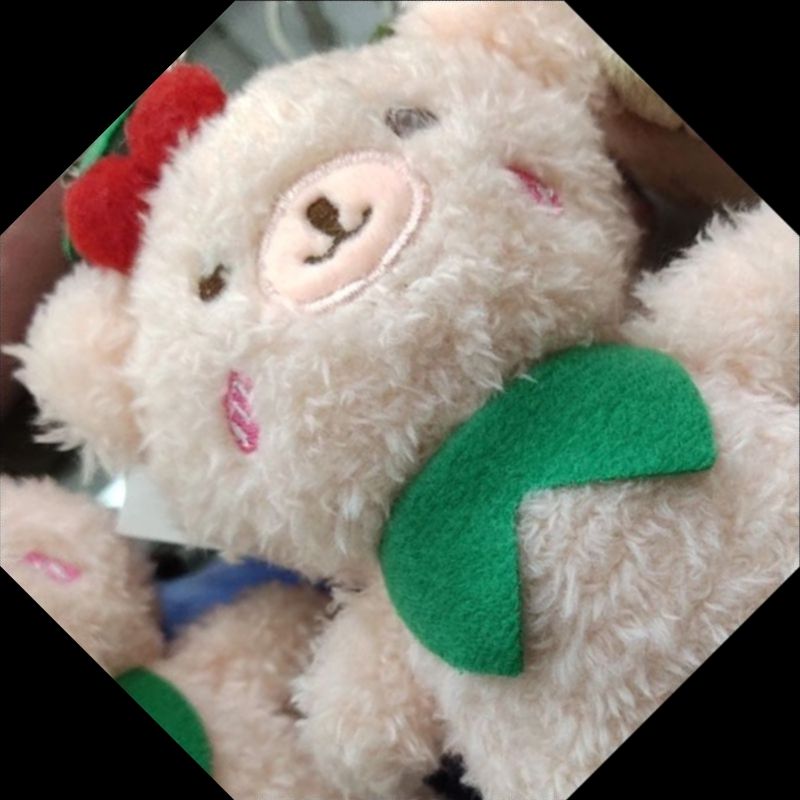 毛绒挂件/毛绒玩具/小挂件白底实物图