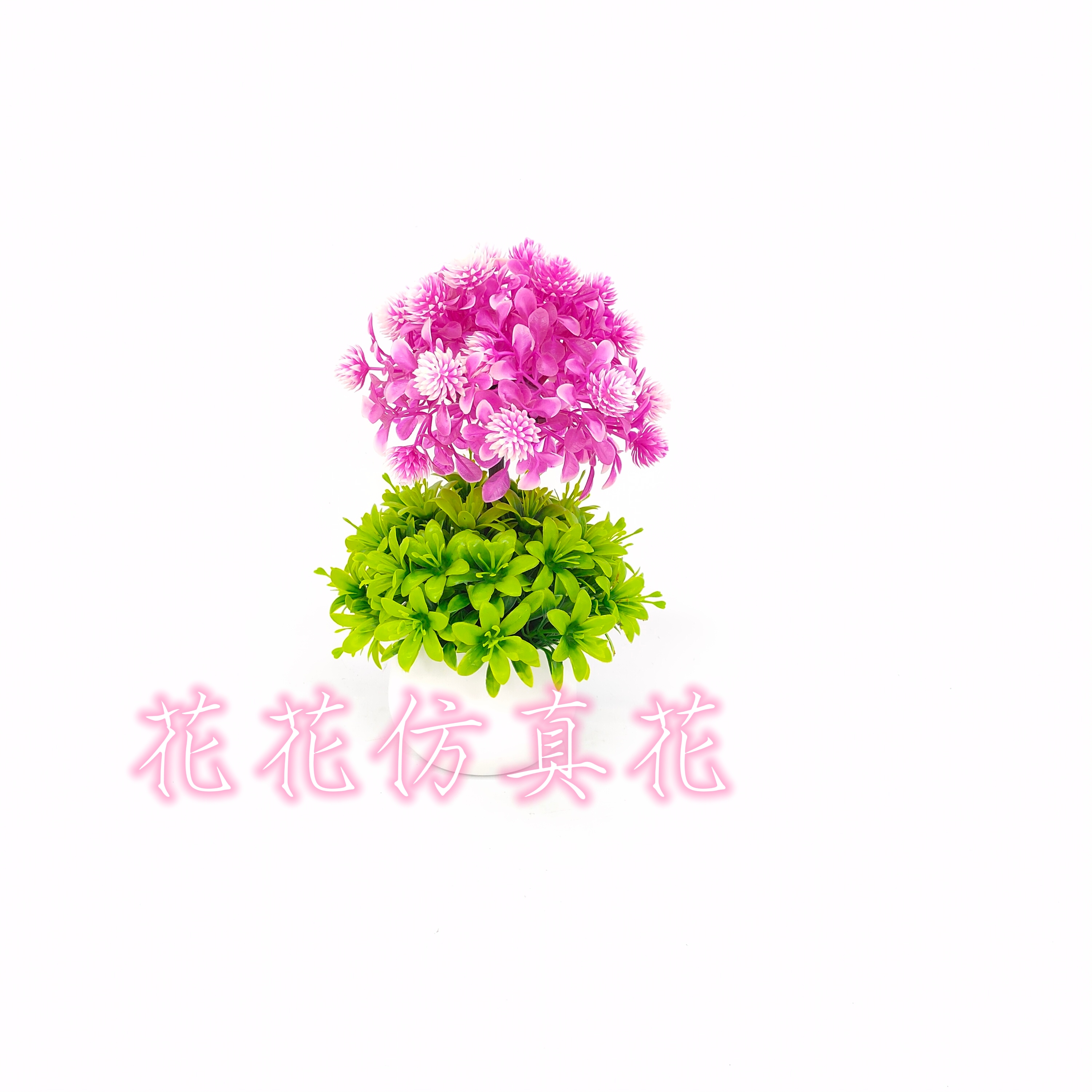 仿真植物实物图