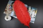 DIY婚礼装饰拍摄道具多彩鸵鸟毛整只细杆50~60cm颜色可选