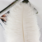 DIY婚礼装饰拍摄道具多彩鸵鸟毛整只细杆50~55cm颜色可选