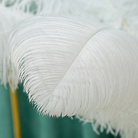 DIY婚礼装饰服装拍摄道具多彩鸵鸟毛整只粗杆35~40cm颜色可选