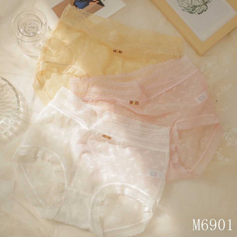 The Mystery of the Magic Box Summer Ultra-thin Lace sexy mid-waist Breathable, comfortable, cute and sweet style waist quick-drying lace women's pants Application Scenario