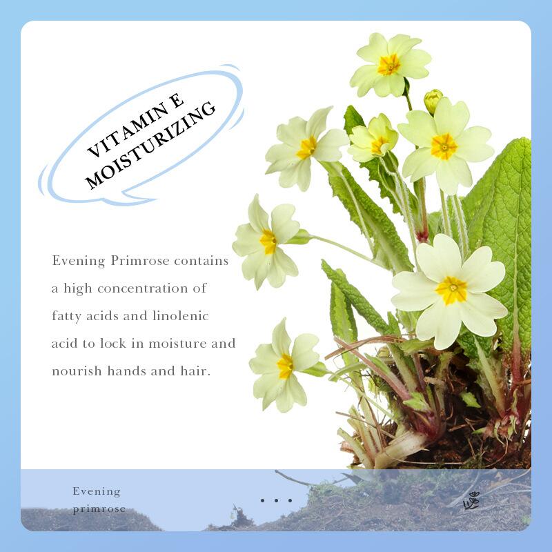 滋养护手霜/补水保湿护手霜/护手霜细节图