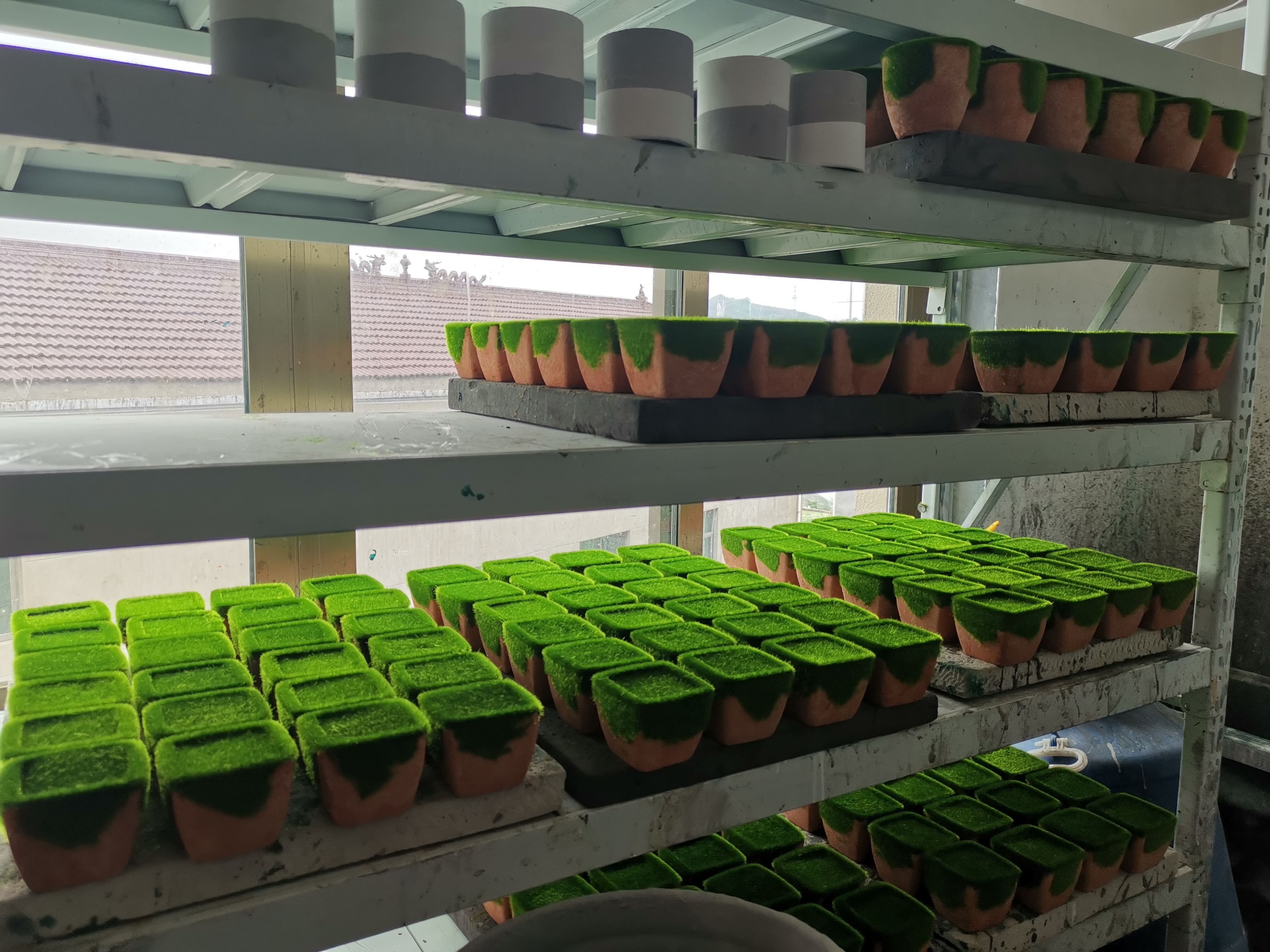 花盆/植绒/容器产品图