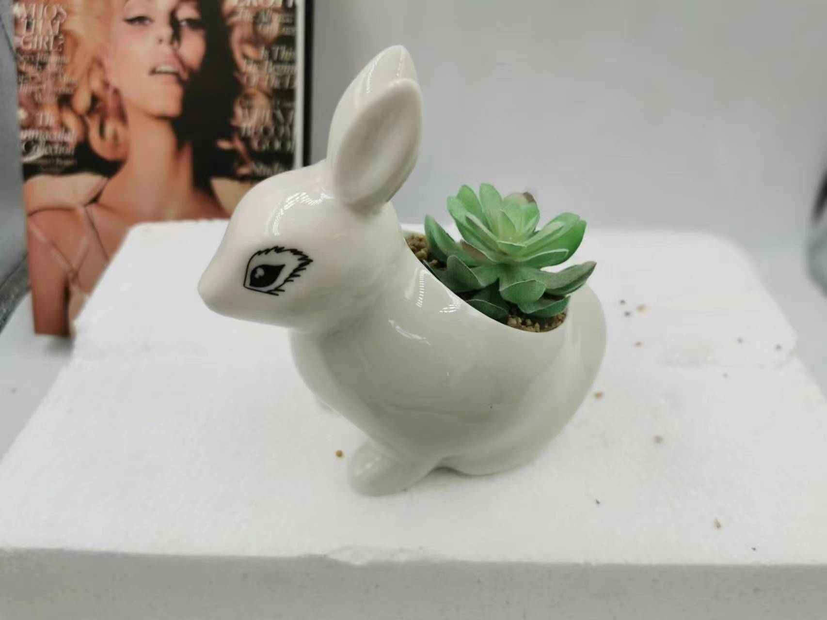 电动玩具狗/真皮摆件/仿真动物/沙盘昆虫/骆驼摆件产品图