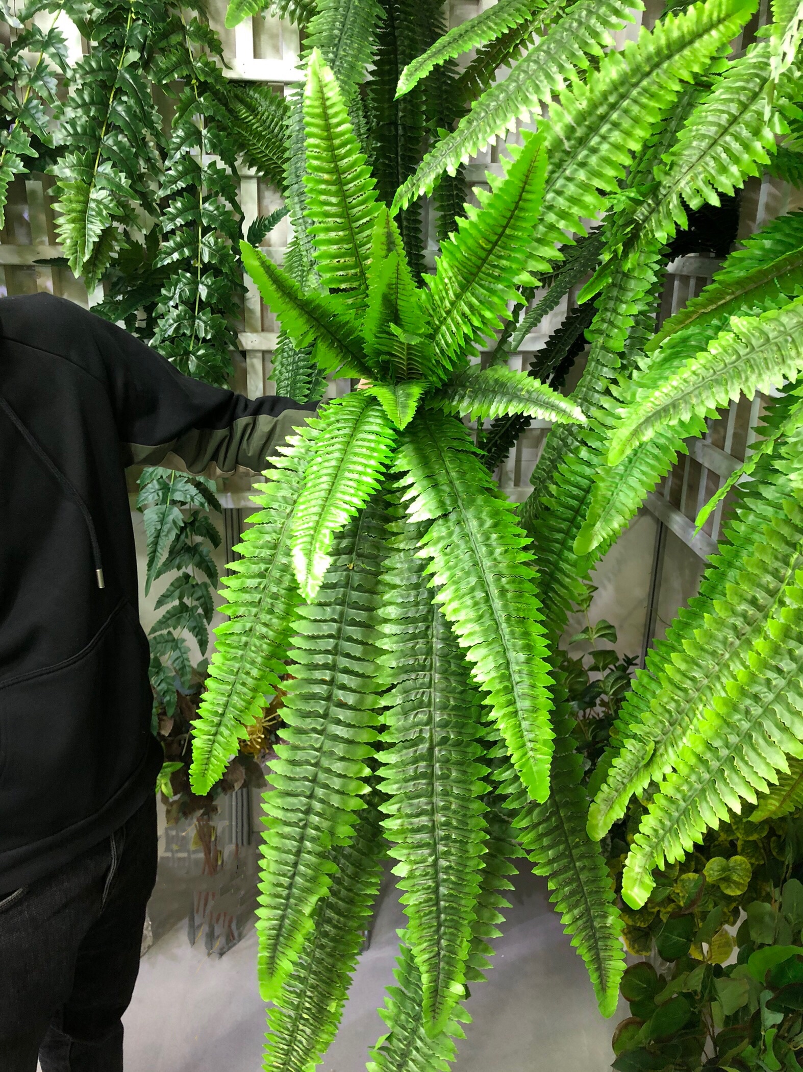 18头波斯叶 家居壁挂植物墙工程配材人造蕨类假花植物