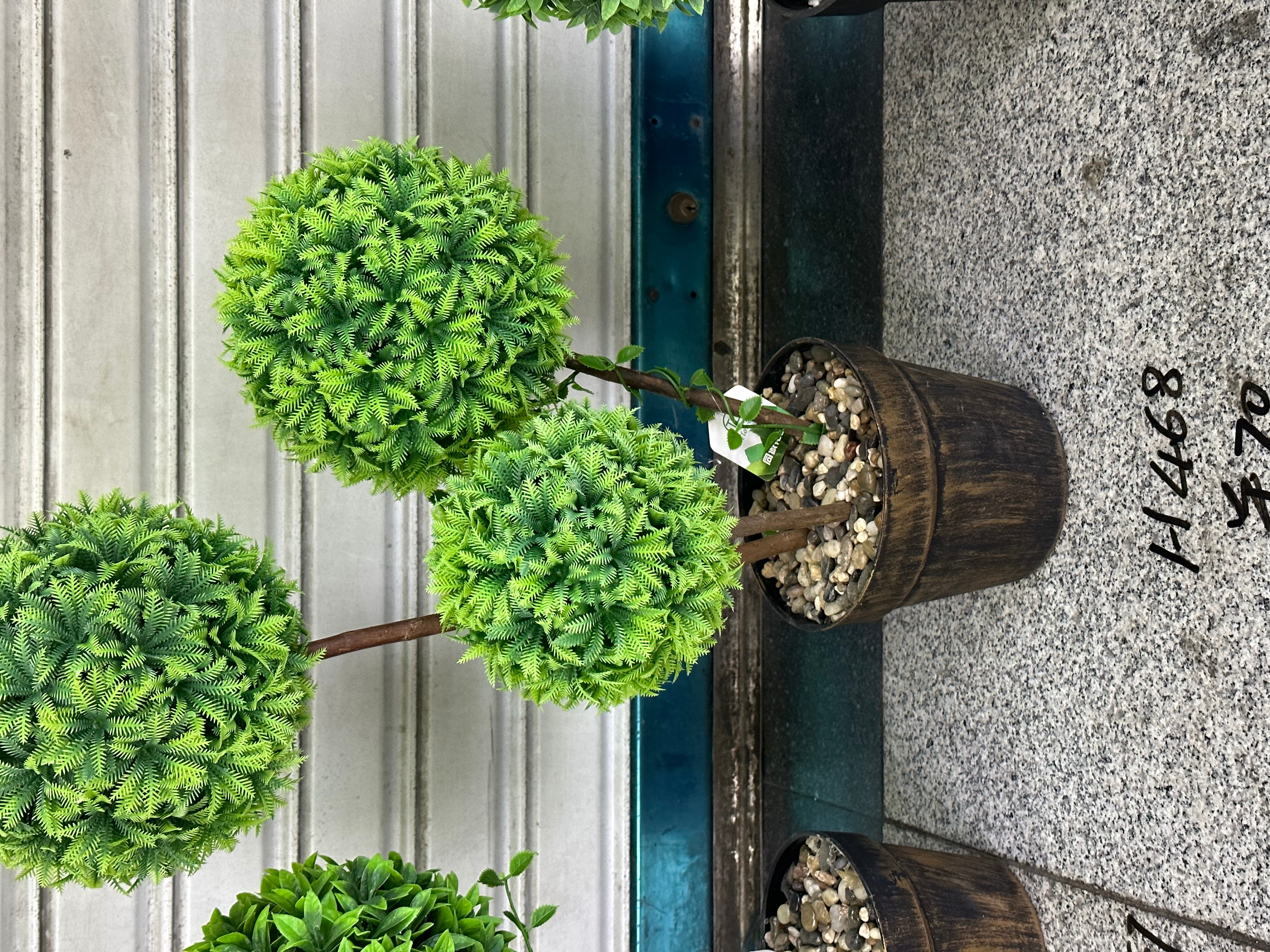 Yu Feng craft bonsai