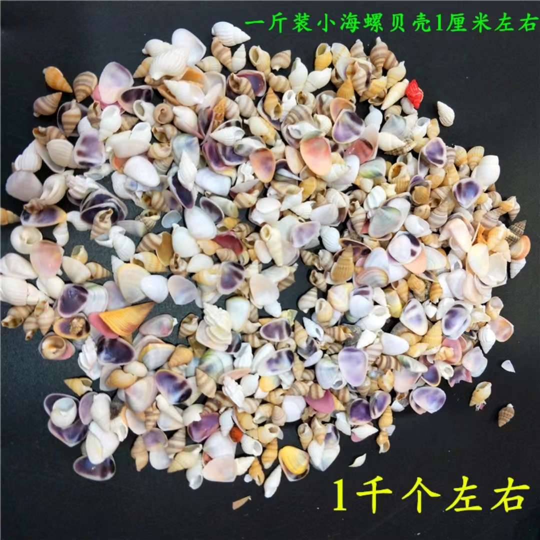 Factory direct sales of natural shells, conches, small starfish, fish tank landscaping handcrafted accessories, micro-landscape consumables, shells Application Scenario
