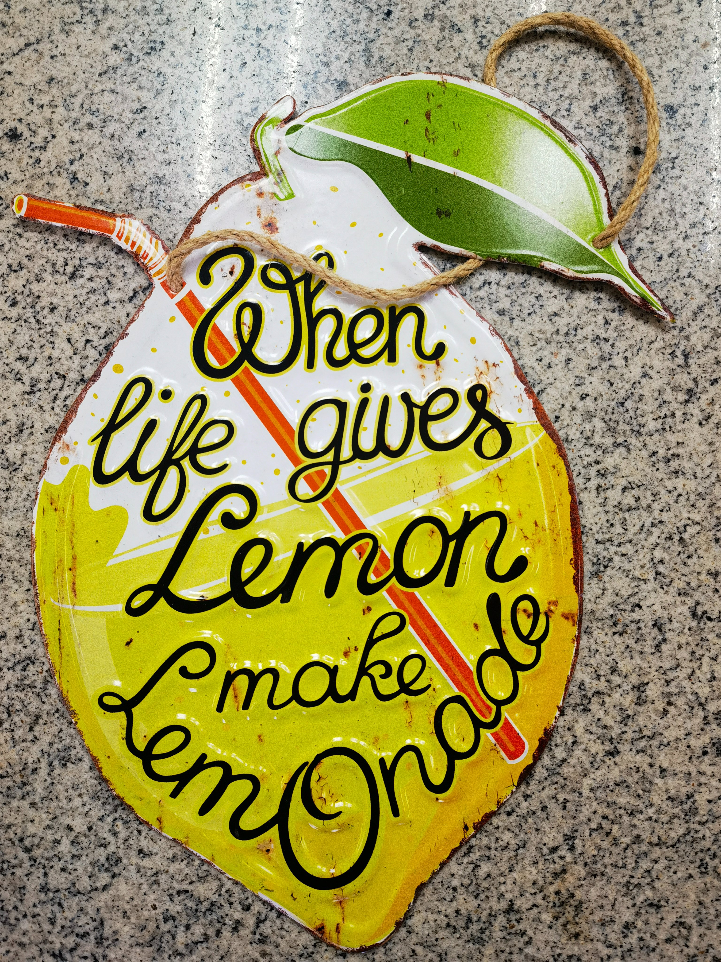 34X21柚子铁皮画