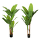 仿真植物/香蕉树/绿植产品图