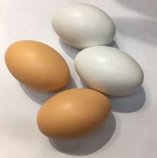 木制仿真鸡蛋 整蛊白绿皮鸭蛋 彩绘蛋 儿童过家家玩具 厂价