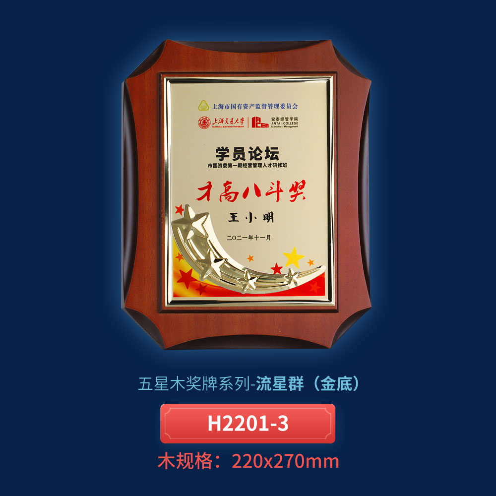2023款奖牌制作专业销售授权证书厂家可定木奖牌授权奖牌
