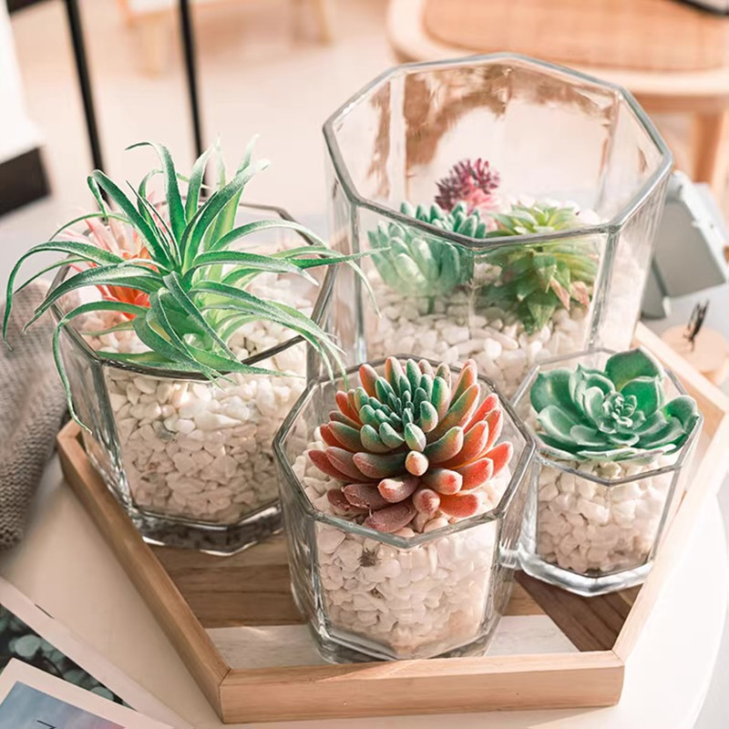 Yuxing Glass's simple and creative octagonal glass vase, thickened pennywort and pothos hydroponic plant vase, candlestick decorative item details Picture
