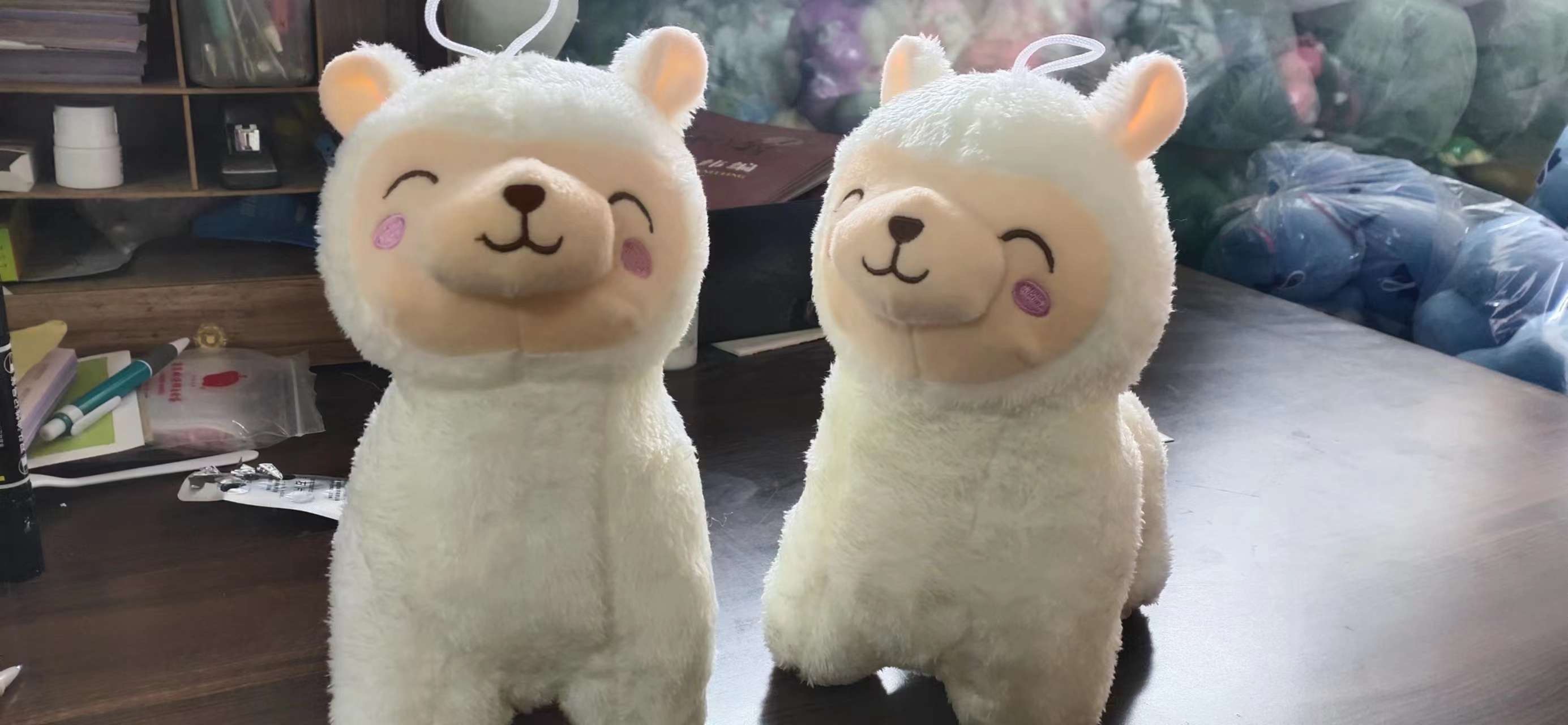 Lovely sheep