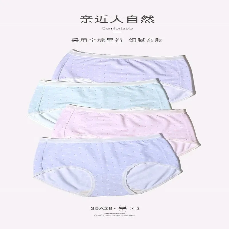 女士内裤1
