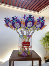 新款网红闪光卡通猫头鹰波波球星空球魔法棒儿童带糖果发光玩具