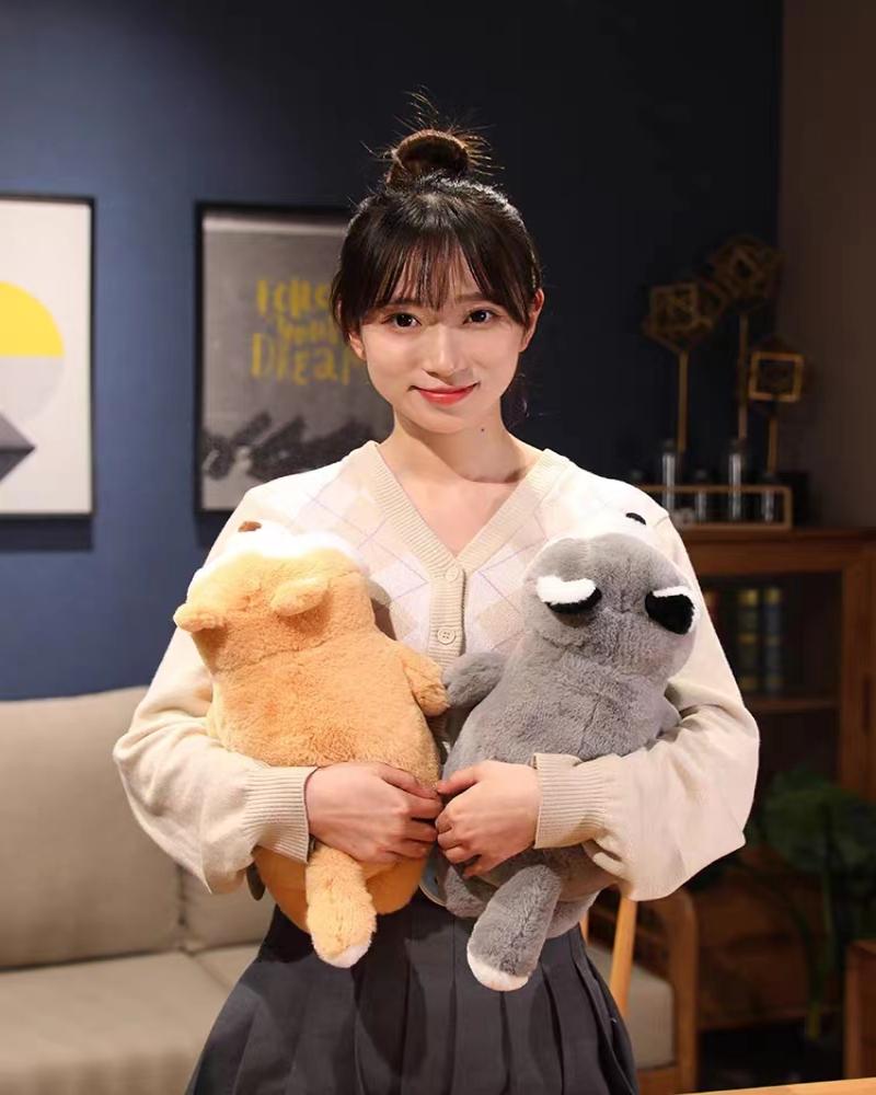 Cute little dog Akita Shiba Inu, Husky sleeping pillow, plush toy doll, boys' and girls' gifts Application Scenario