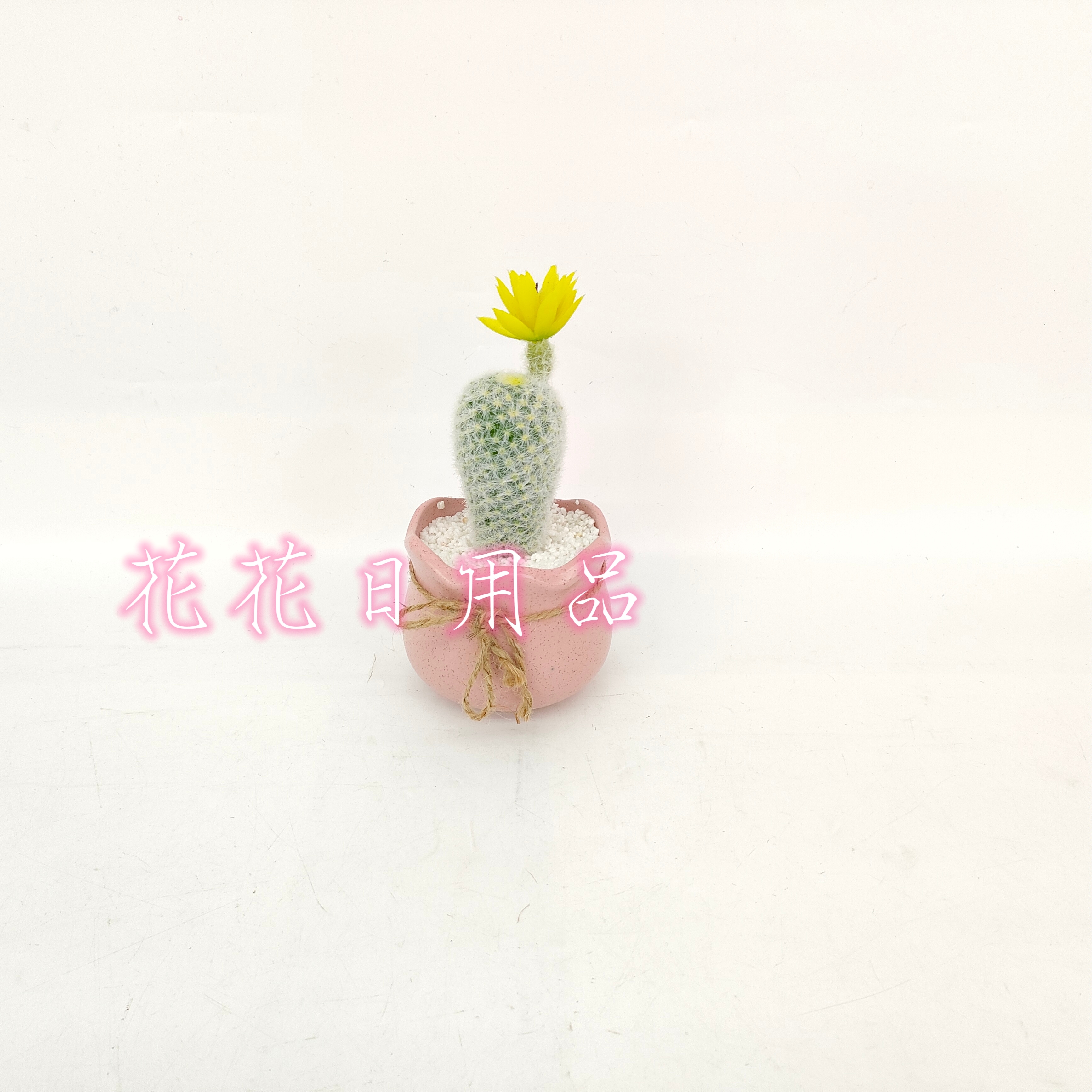 其他分类实物图