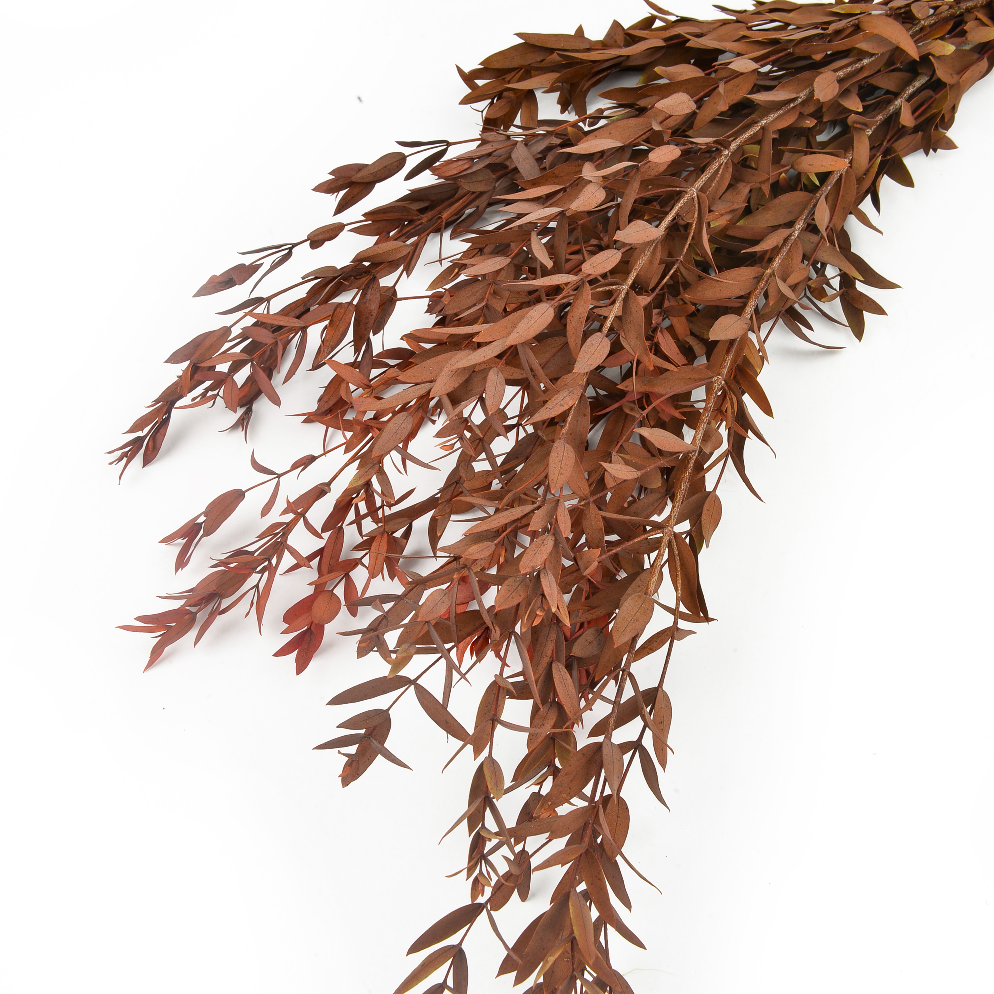 Natural dried flowers and plants, flower bouquet combination, shooting props, living room decoration and arrangement, home flower arrangement diy materials, various colors, long display time, in stock details Picture