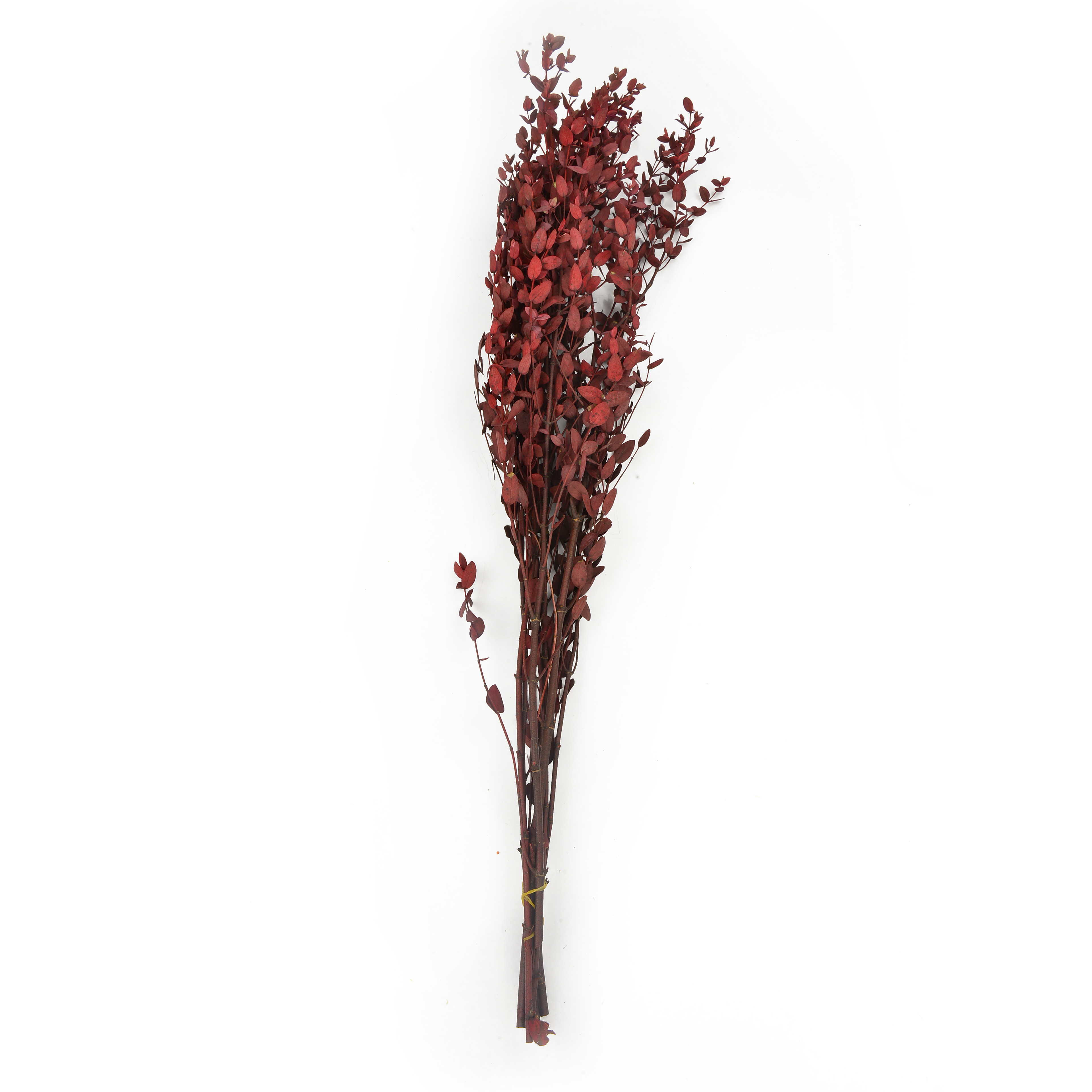 Natural dried flowers and plants, flower bouquet combination, shooting props, living room decoration and arrangement, home flower arrangement diy materials, various colors, long display time, in stock Application Scenario