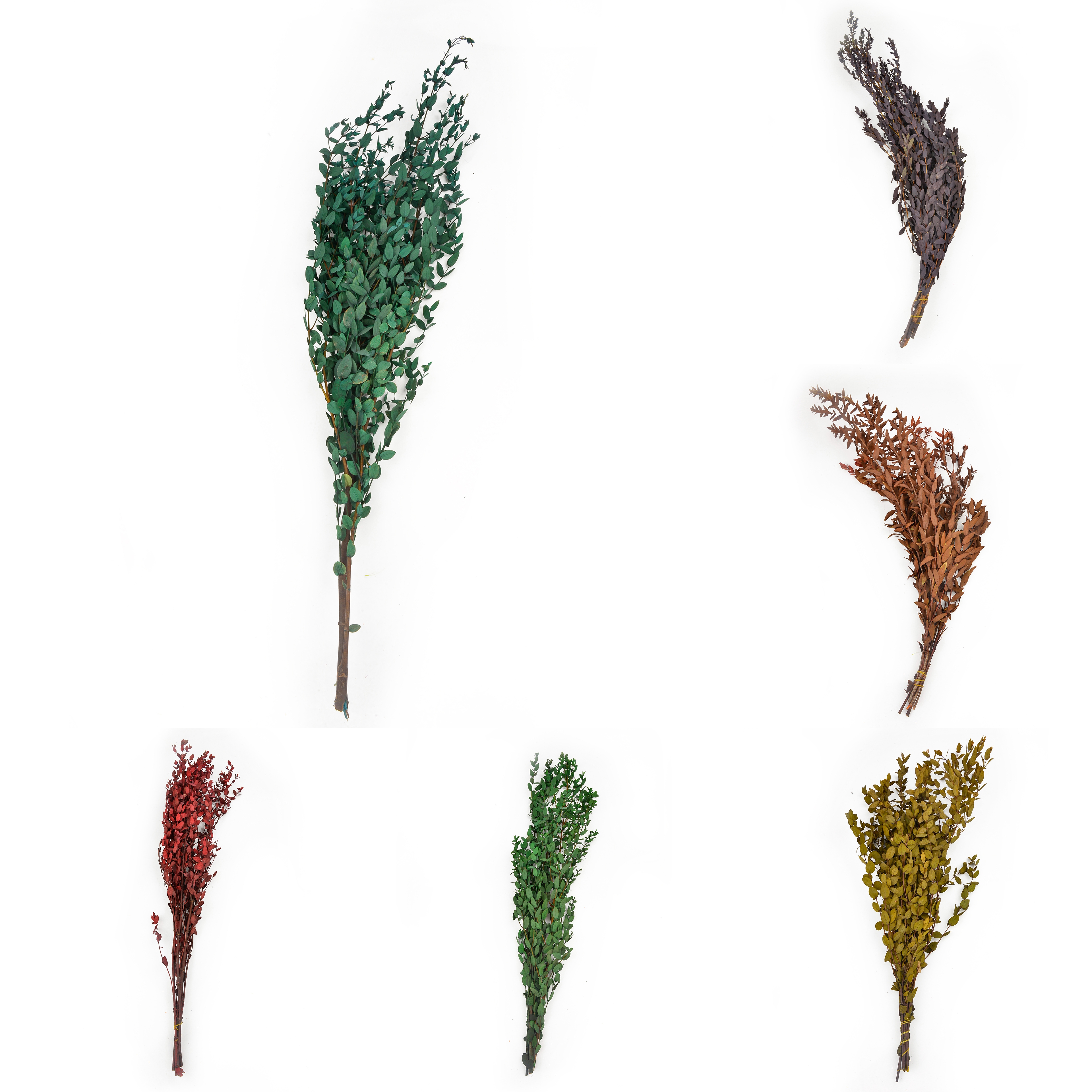 Natural dried flowers and plants, flower bouquet combination, shooting props, living room decoration and arrangement, home flower arrangement diy materials, various colors, long display time, in stock Item Picture