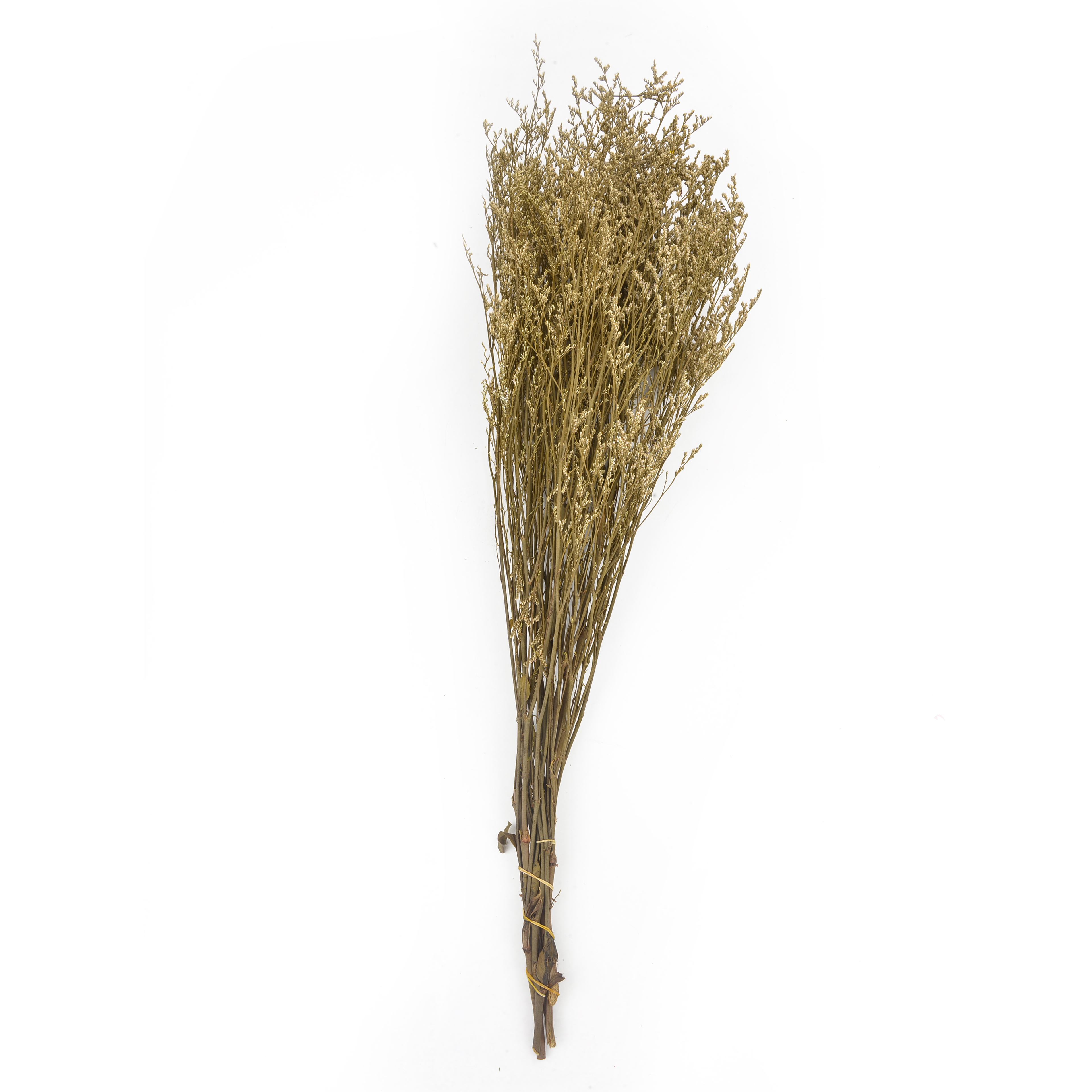 Love grass, natural dried flowers and plants, bouquet combination, shooting props, living room decoration and arrangement, home flower arrangement diy materials, diverse colors, long display time, in stock