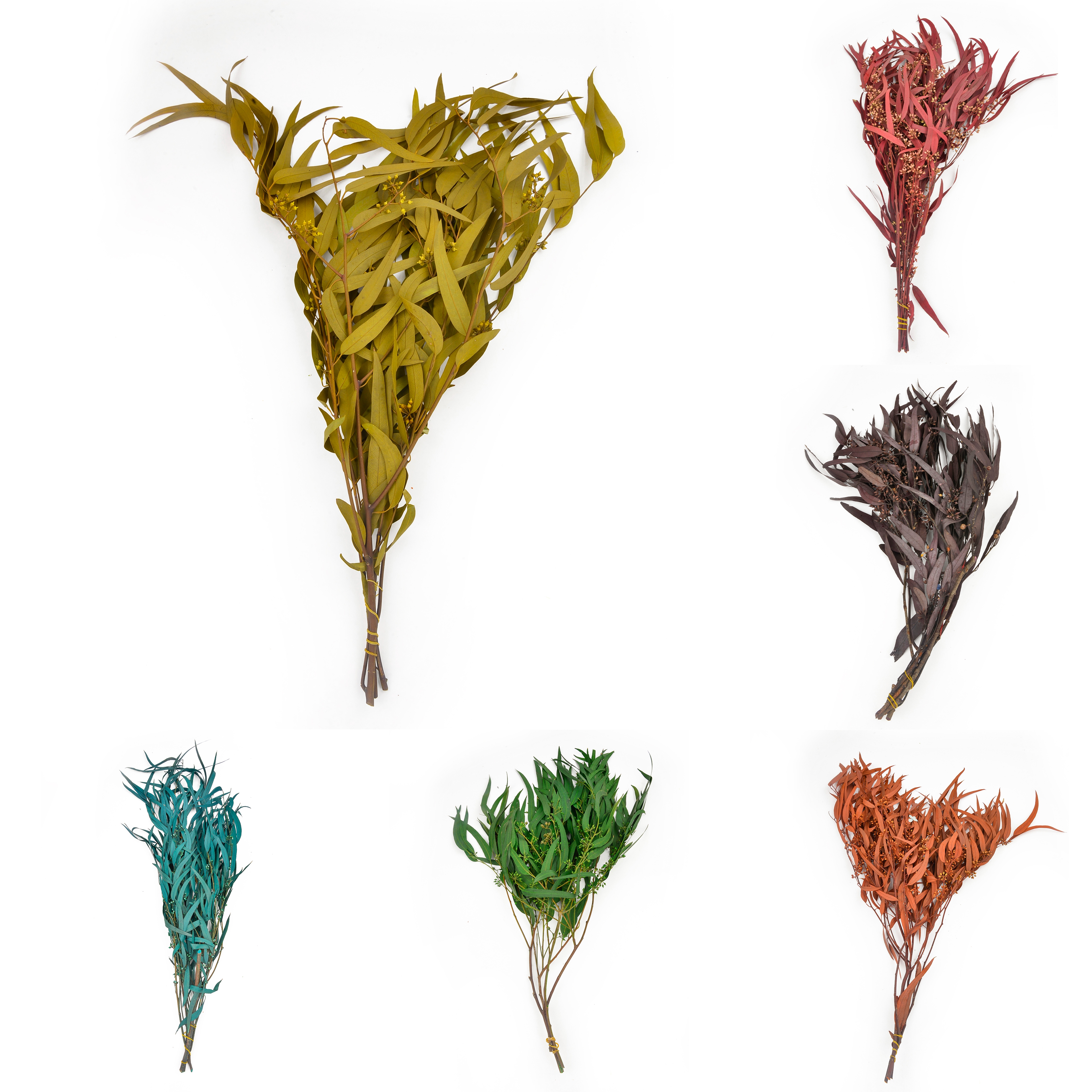 Xiaomi Ye Ran dried flowers and plants bouquet combination shooting props, living room decoration and arrangement, home flower arrangement diy materials, diverse colors, long display time, in stock Item Picture