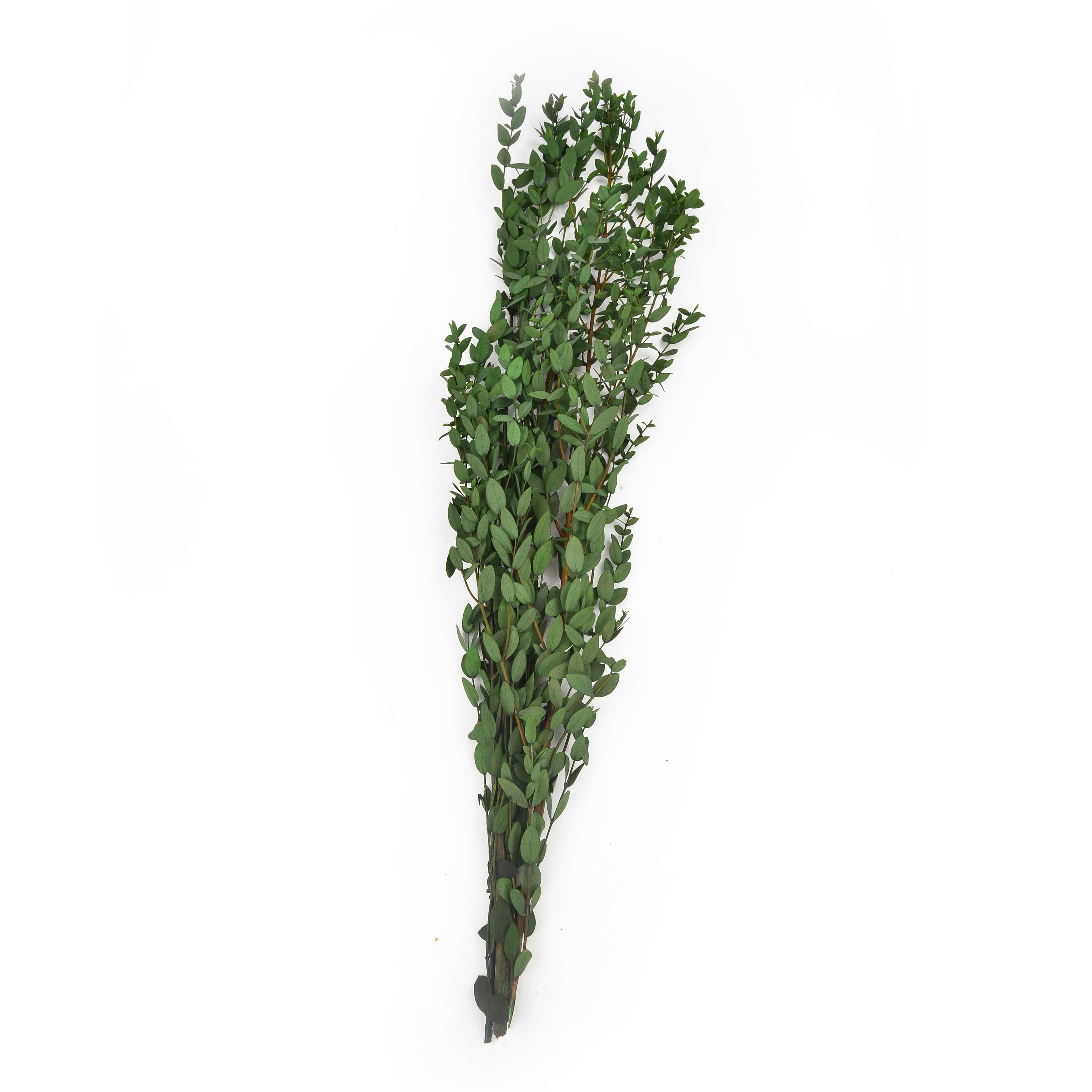 Natural dried flowers and plants, flower bouquet combination, shooting props, living room decoration and arrangement, home flower arrangement diy materials, various colors, long display time, in stock Specification image