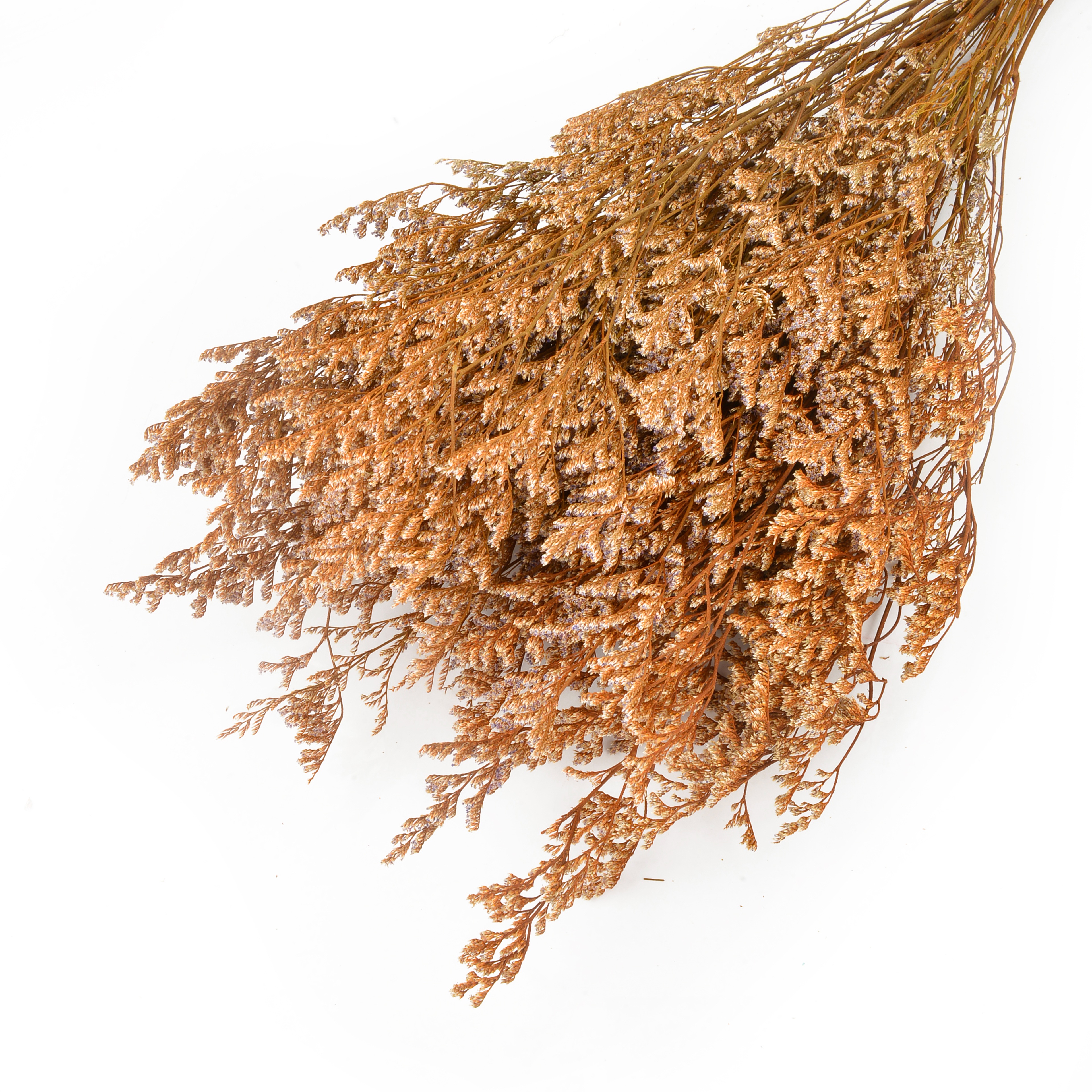 كما ان مزيجا من الازهار المجفَّفة الطبيعية من العشب الحبي يصور مزخرفة زخرفة في البيوت Specification image