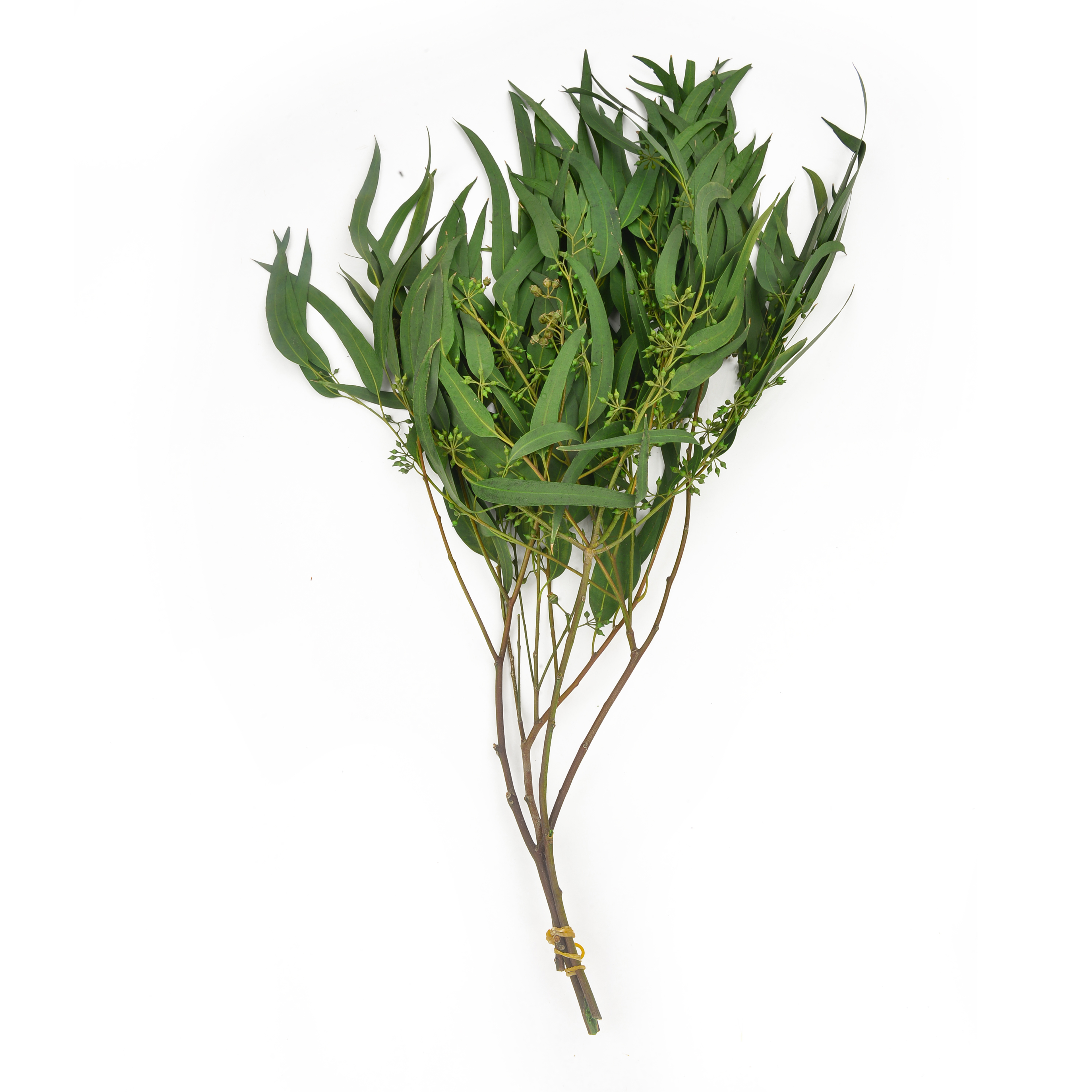 Xiaomi Ye Ran dried flowers and plants bouquet combination shooting props, living room decoration and arrangement, home flower arrangement diy materials, diverse colors, long display time, in stock Application Scenario