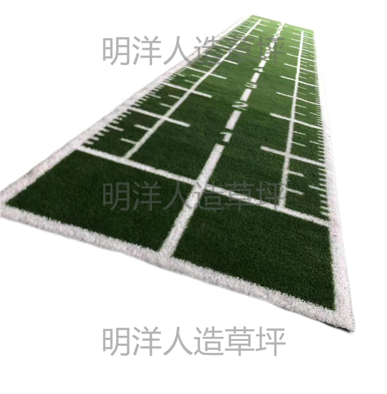 人造草坪/仿真草坪/图案草坪/幼儿园草坪/多功能草坪白底实物图