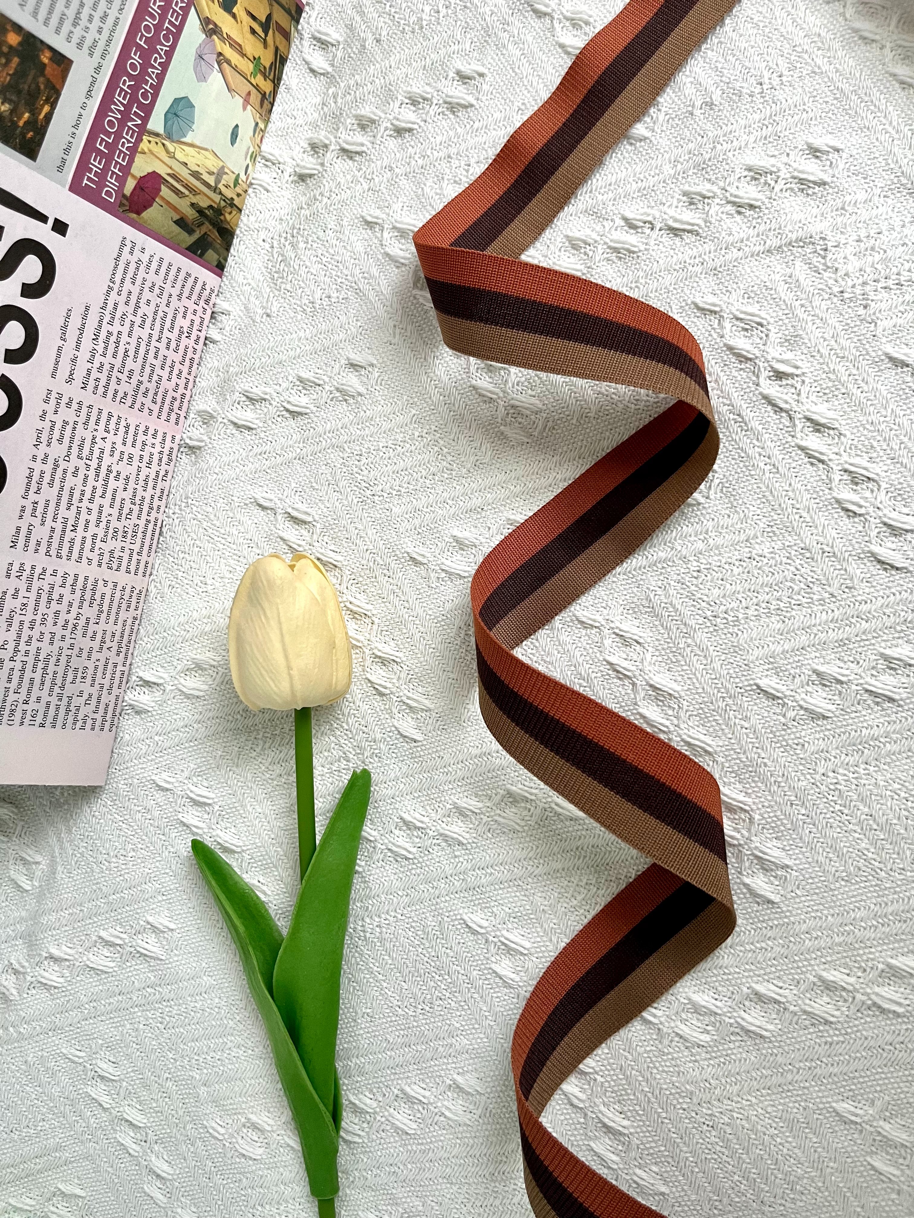 Jianjian intercolor warp knitted tape is a simple and elegant accessory for clothing Application Scenario