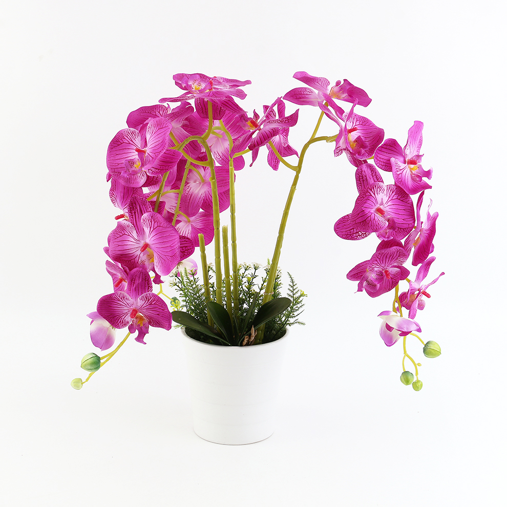 Nueva simulación phalaenopsis cuenco grande cuenco de cerámica colocación decoración