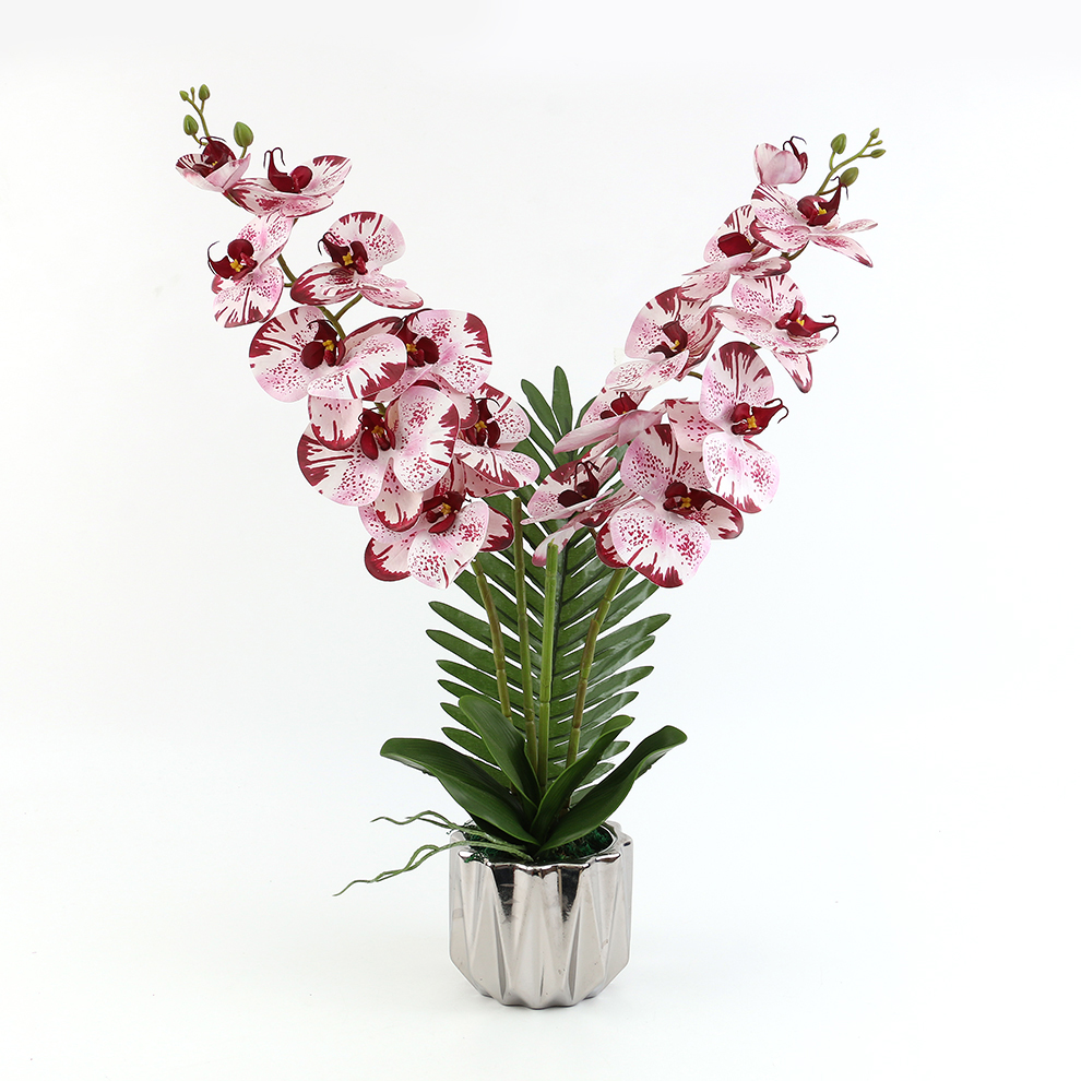 陶瓷盆/假花/仿真蝴蝶兰细节图