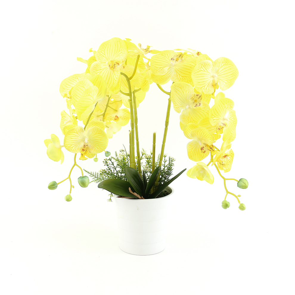 Nueva simulación phalaenopsis cuenco grande cuenco de cerámica colocación decoración Application Scenario
