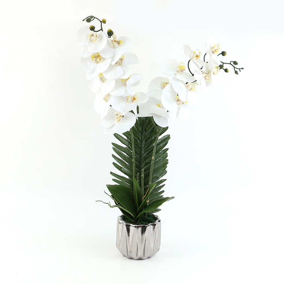 装饰花瓶实物图