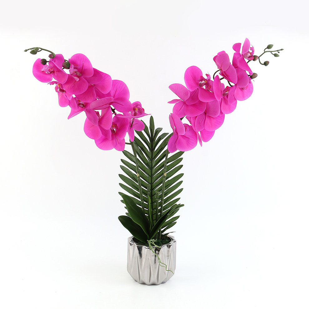 陶瓷盆/假花/仿真蝴蝶兰产品图