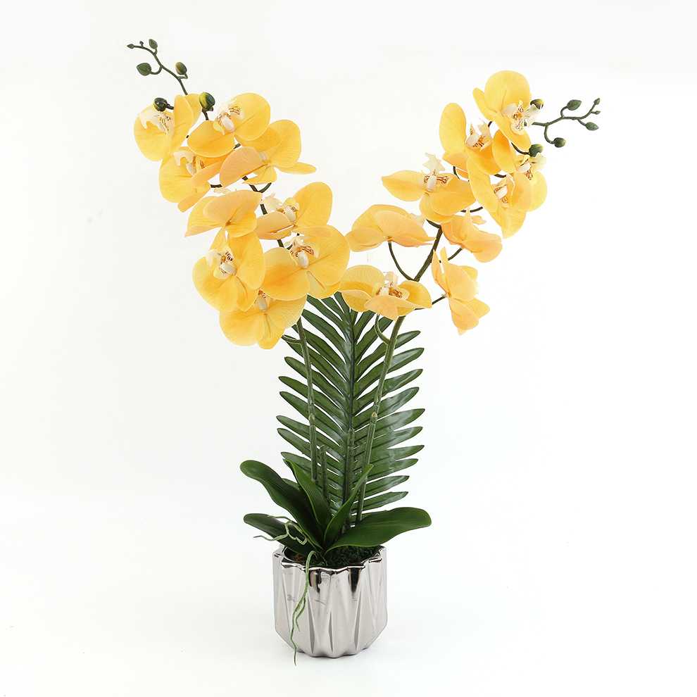 新款现货陶瓷盆仿真蝴蝶兰 橱窗桌面摆件装饰                                       