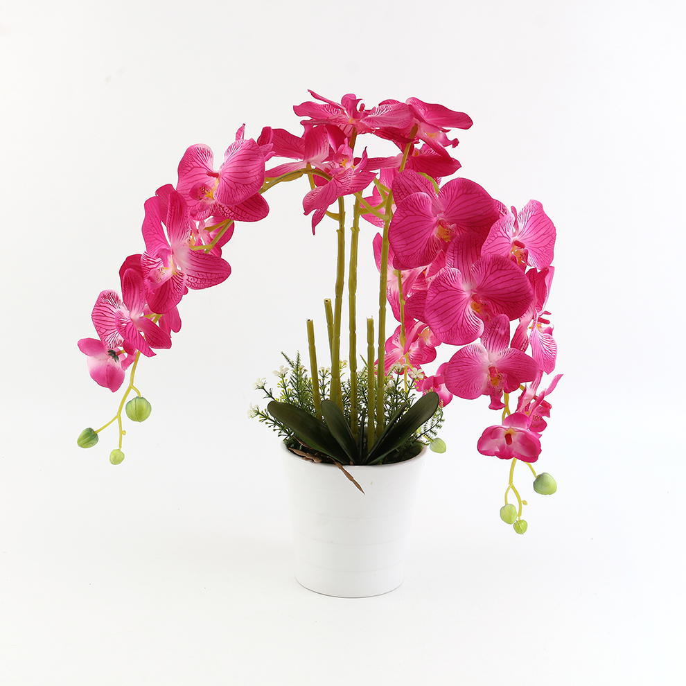 Nueva simulación phalaenopsis cuenco grande cuenco de cerámica colocación decoración Item Picture