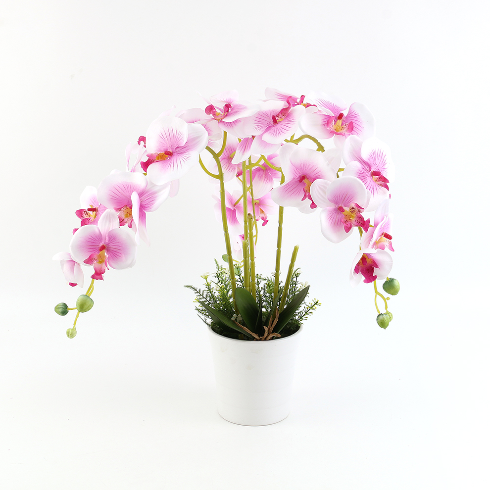 Nueva simulación phalaenopsis cuenco grande cuenco de cerámica colocación decoración details Picture