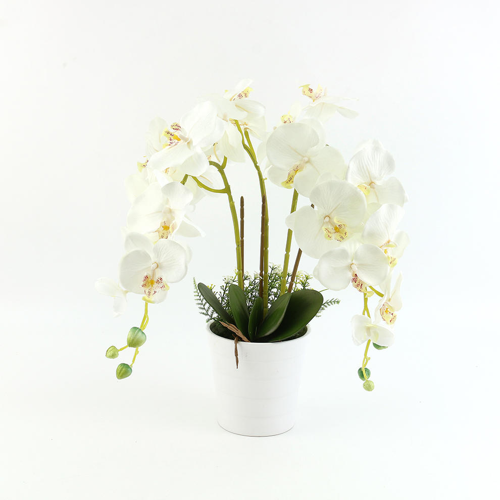 Nueva simulación phalaenopsis cuenco grande cuenco de cerámica colocación decoración Specification image